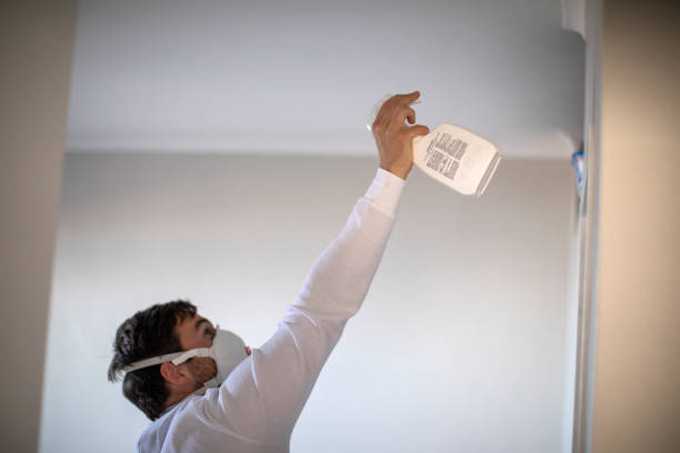 Best Basement Mold Remediation in Matteson, IL