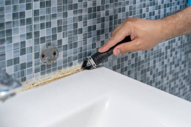 Best Preventive Mold Services in Matteson, IL